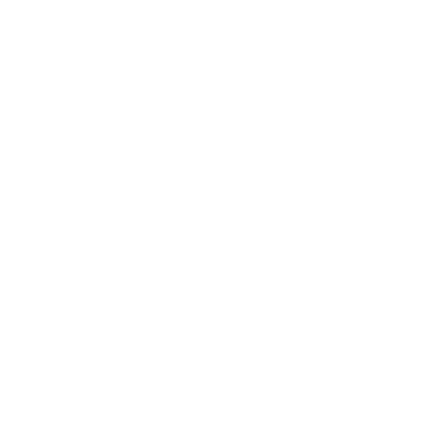 evirtualsolution.com
